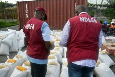 159 Drug Traffickers Arrested By NDLEA In Enugu